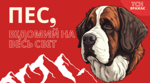 Презентація та роздатковий матеріал до уроку "Пес, відомий на весь світ" 3 клас, за підр. Савченко "Літературне читання"
