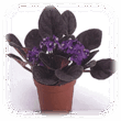 0601hat2-c292-110x110.png