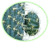 0601hau6-7ce7-102x90.png