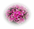 0601haui-a189-113x98.png