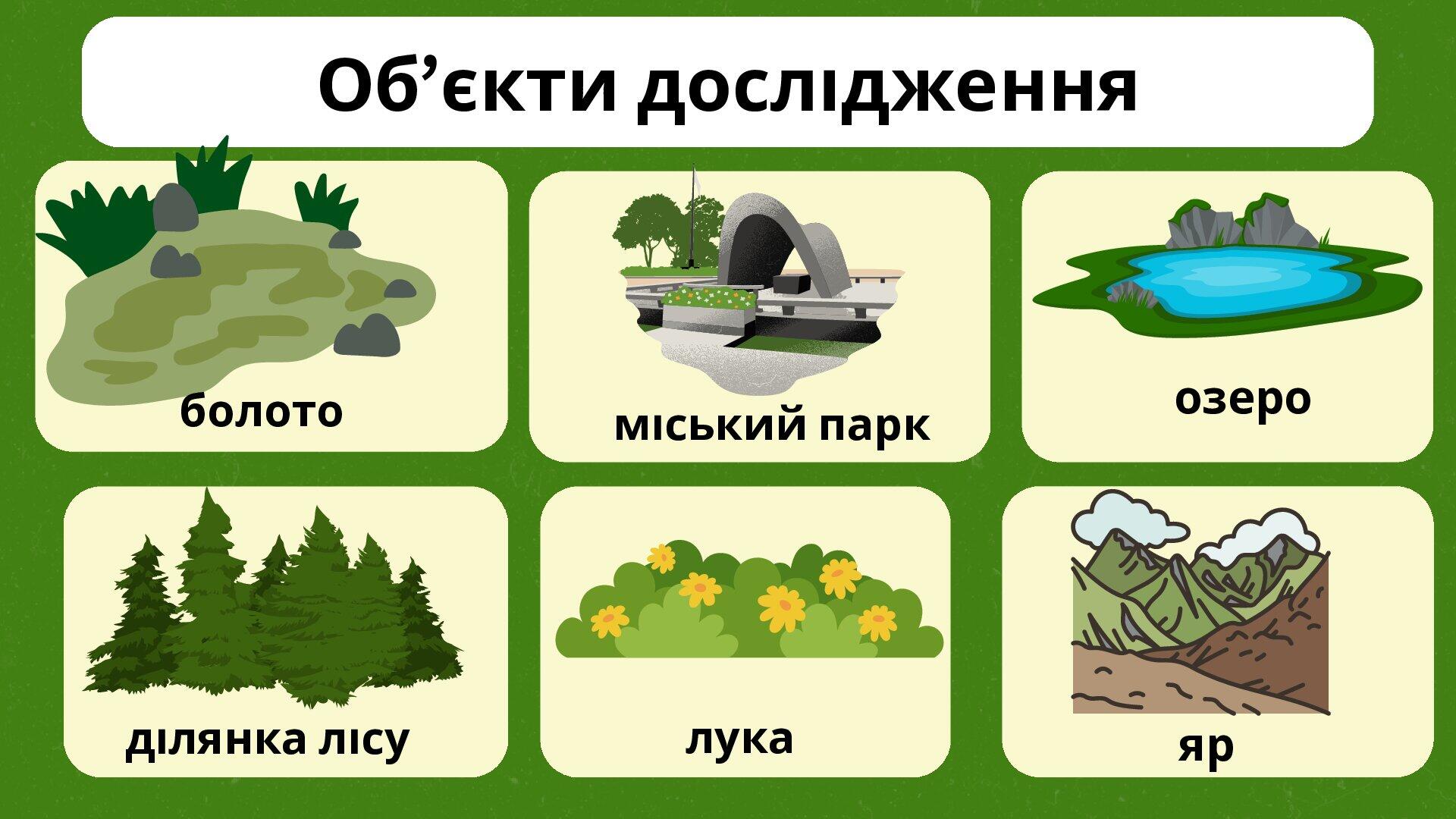 § 56. Урок-практикум. Дослідження взаємозв’язків у природному комплексі ...