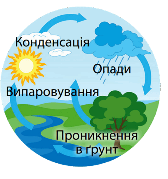 0601hblq-79d8-567x602.png