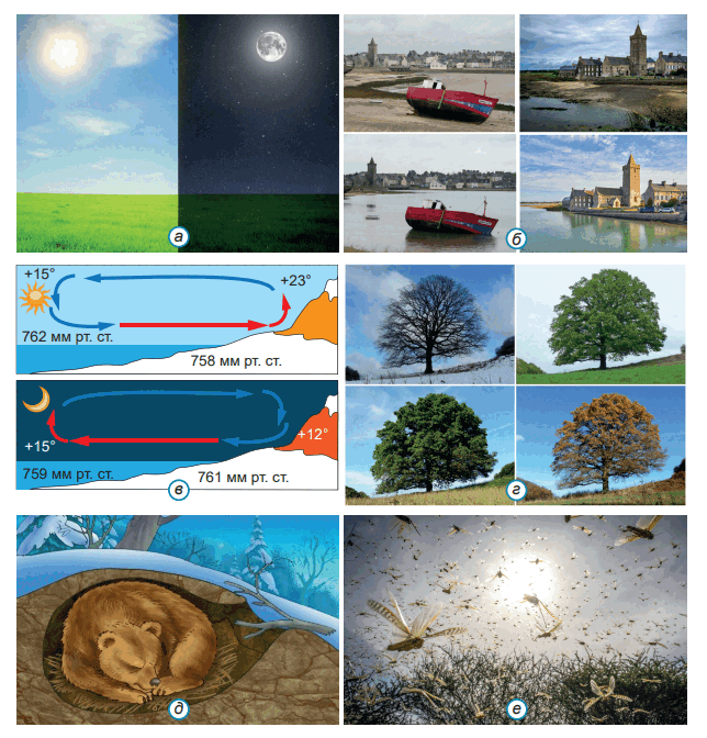 0601hcfw-0840-644x672.png