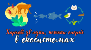 Харчові зв'язки та потоки енергії в екосистемах