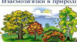 Пізнаємо взаємозв'язки у природі. Діагностична робота.