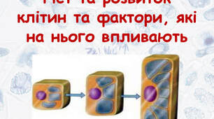 Ріст та розвиток клітин та фактори, які на нього впливають.