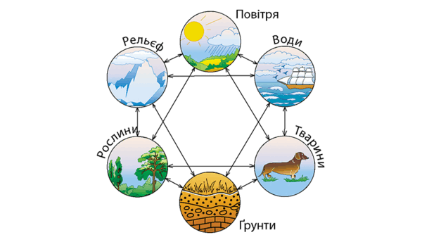 0601he7s-b334-776x446.png