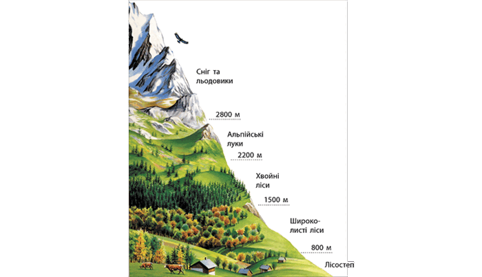 0601hej0-80c7-776x446.png