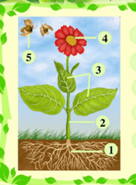 0601hhb9-82db-275x375.png