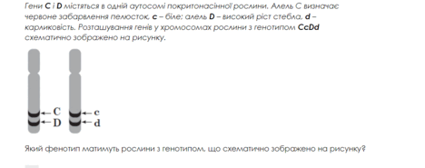0601hhg6-6502-468x185.png