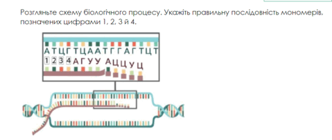 0601hhh8-aadf-479x203.png