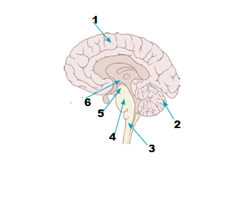 0601hi9l-b934-355x318.png