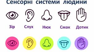 Сенсорні системи