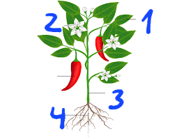 0601hlcz-2f29-254x198.png