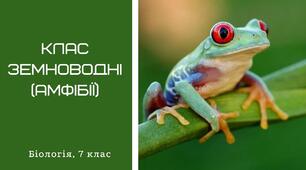 Клас Амфібії