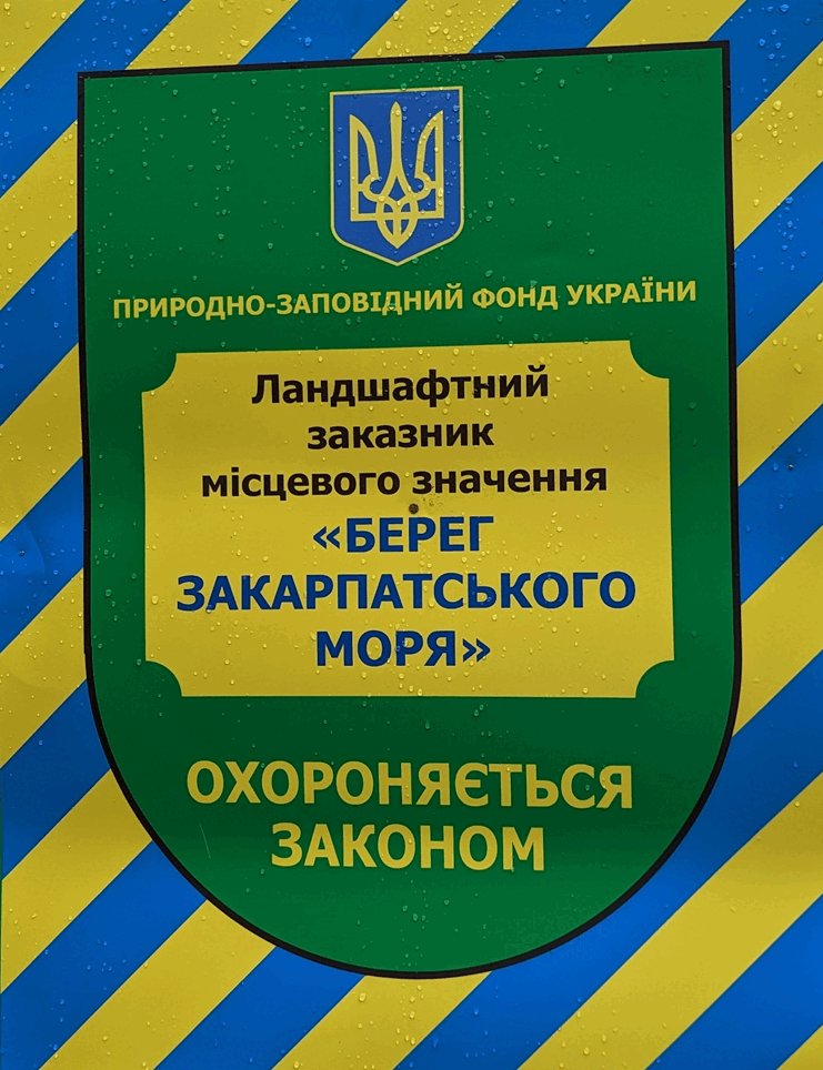 0601ho4z-c546-741x964.png