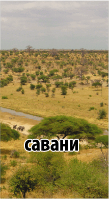 0601hrfq-1715-214x389.png