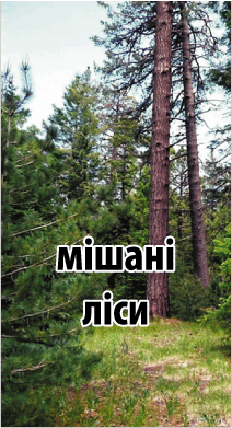 0601hrfz-fcd2-212x391.png