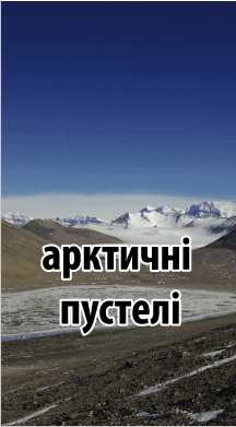 0601hrg3-7b12-216x391.png