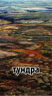 0601hrgc-ca77-212x389.png