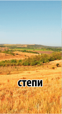 0601hrgg-8cba-213x389.png