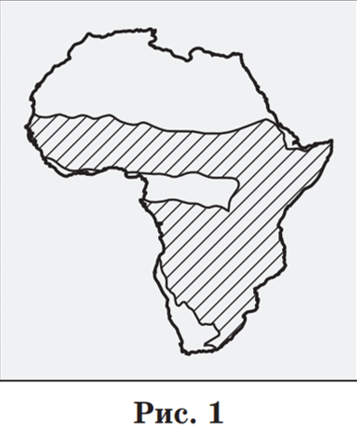 0601hrnf-2f36-522x629.png
