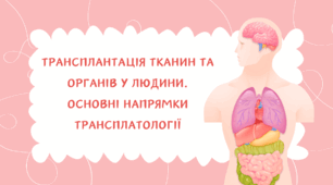 Презентація "Трансплантація тканин та органів у людини"