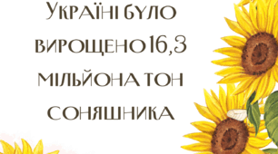 Інформаційне повідомлення + завдання "1 травня Міжнародний день соняшника "