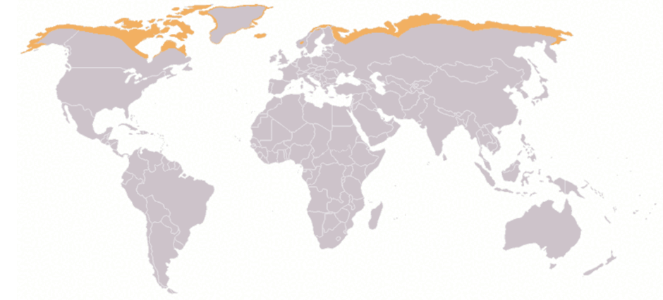 0601hvrk-7d3a-940x426.png