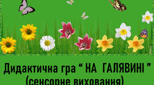 Сенсорна гра : " На галявині"