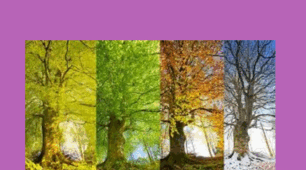 READING COMPREHENSION TEST (II term) Quick Minds 4