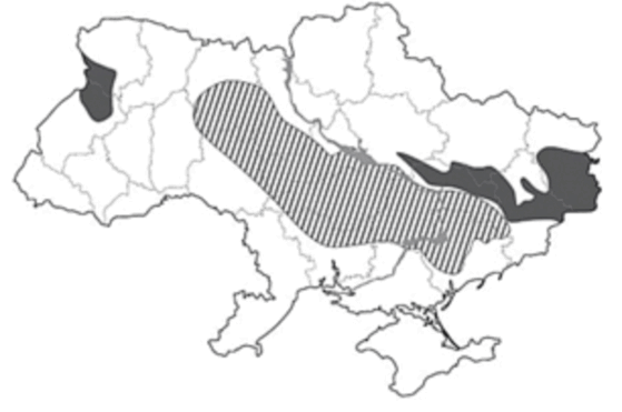 0601hxpu-c631-559x371.png