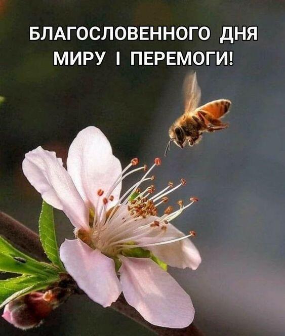 0601hy9n-8721-563x664.jpg