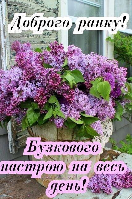 0601hya3-8802-427x640.jpg