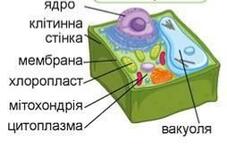 0601hyj9-9431-227x150.jpg