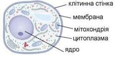 0601hyje-41c0-237x116.jpg