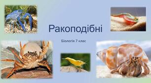 Клас Ракоподібні