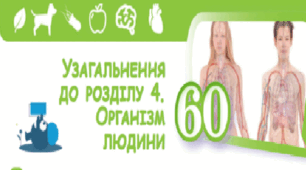 Узагальнення розділу "Організм людини"