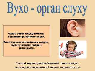 0601i0w6-26ae-318x238.jpg