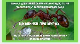 Заняття з ознайомлення з довкіллям. "Цікавинки про мурах"