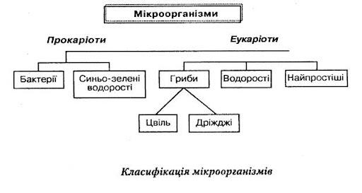 0601i2c6-2922-512x273.jpg