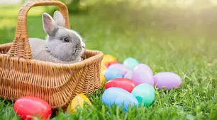 Easter Egg Hunting