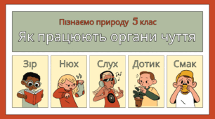 Як працюють органи чуття