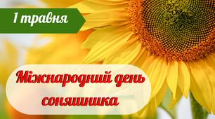 Презентація на тему "1 травня - Міжнародний день соняшника"