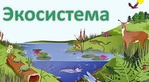 Екоситема
