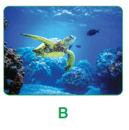 0601ib6d-4d40-187x189.png