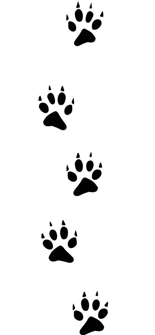 0601icft-83af-500x1080.png
