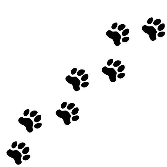 0601icg7-326c-550x550.png