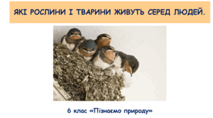 Презентація «Які рослини і тварини живуть серед людей.»