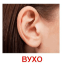 0601igvb-ca2b-127x130.png